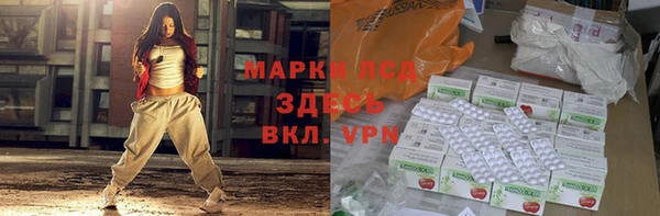 хмурый Арсеньев