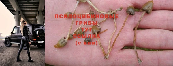 альфа пвп Армянск