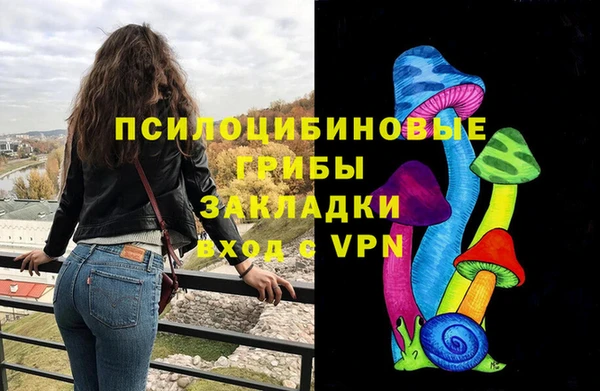 хмурый Арсеньев