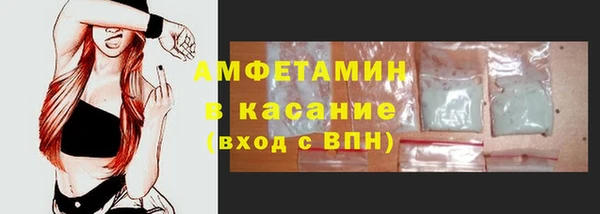 сатива Аркадак