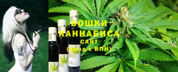 хмурый Арсеньев