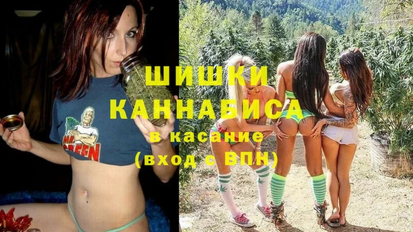 сатива Аркадак