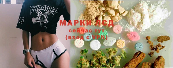 сатива Аркадак
