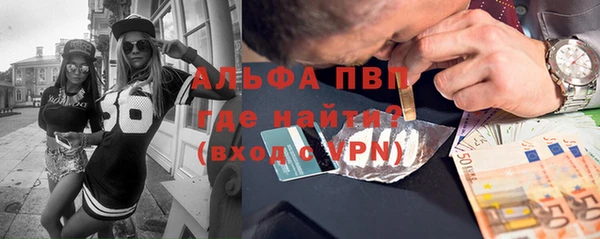 хмурый Арсеньев