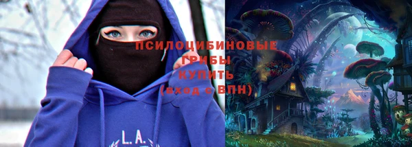 хмурый Арсеньев