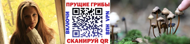 Галлюциногенные грибы MAGIC MUSHROOMS  Чекалин 